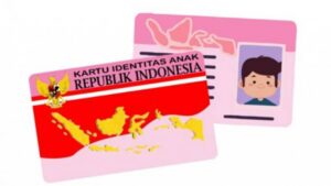 Apa Itu KTP Pink (KIA)? Fungsi, Syarat, dan Cara Membuat